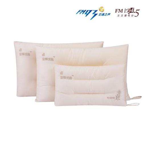 （永久下架）【主播推荐】板蓝根防菌健康枕 商品图1