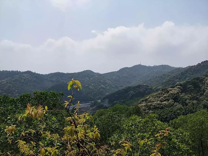 【亲子1天】徒步牛头山,亲近自然,挑战飞越丛林