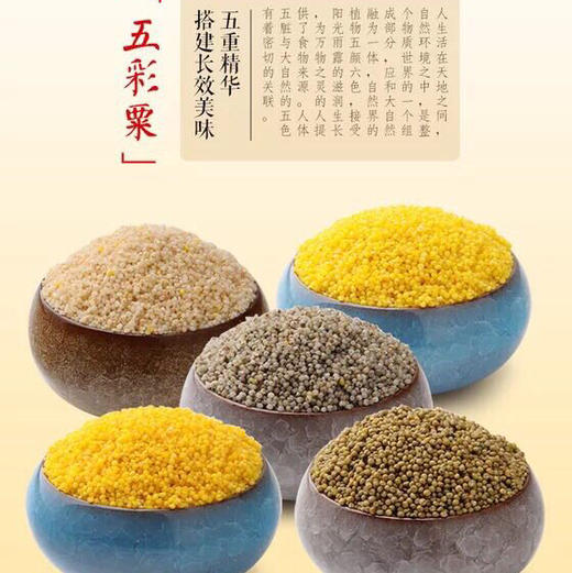 山西五色小米 500个*3袋 （黄小米/黑小米/白小米） 商品图2