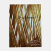 Eva Hesse – One More than One  伊娃·黑塞——一个以上（德语/英语版） 商品缩略图0