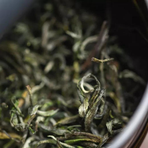 【精品送礼推荐】黄山毛峰 揉道礼盒 特二级手工揉捻150g（50gx3） 商品图4