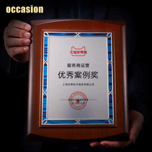 奖牌定制定做授权牌代理商加盟木质牌匾木托金属聘书制作高档证书 商品图3