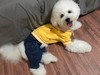 测试商品11111111 商品缩略图0