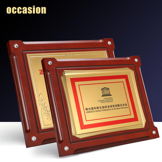 奖牌定制定做水钻木质荣誉牌匾代理加盟商授权牌证书高档聘书制作 商品图1