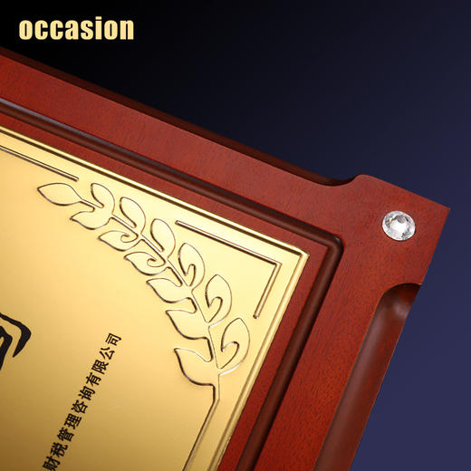 奖牌定制定做水钻木质荣誉牌匾代理加盟商授权牌证书高档聘书制作 商品图4