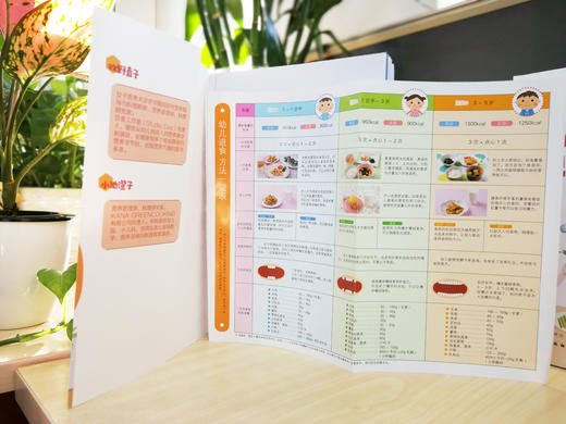 营养师妈妈的儿童配餐日志+营养师妈妈的辅食添加日志+儿科医生的育儿事典（套装3册） 商品图7