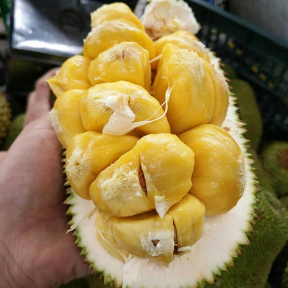 海南榴莲蜜2个装|榴莲的口感 菠萝蜜的甜蜜 入口即化