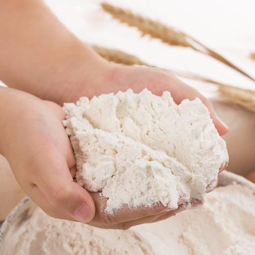 河套牌雪花粉5kg/袋 商品图2