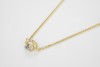 The claw necklace 商品缩略图1