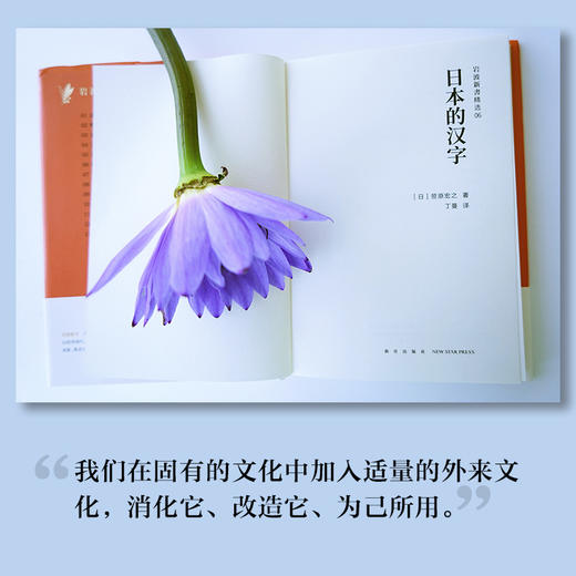岩波新书精选06·日本的汉字 商品图3