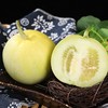 山东 • 马连庄甜瓜  颗颗脆甜  瓜汁如蜜  皮薄多汁 可带皮吃、带瓤吃  源自“甜瓜之乡” 商品缩略图0