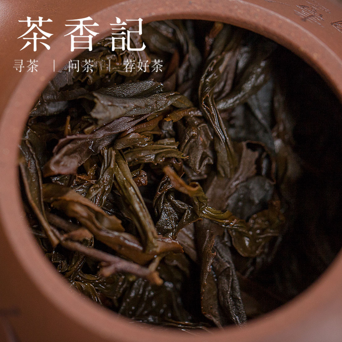 茶香记 桐木老枞红茶2018 桐木关 红茶 百年老枞 传统