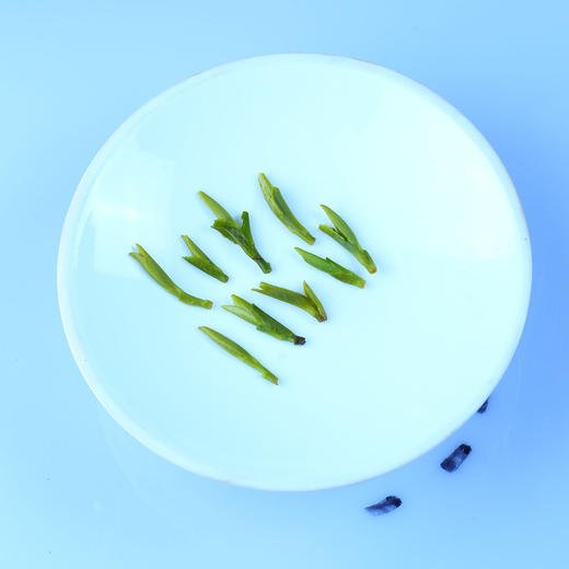 雀舌绿茶 峨眉山茶叶 明前鲜嫩独芽 500g 包邮 商品图3