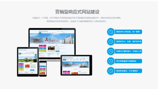响应式网站建设 商品图1