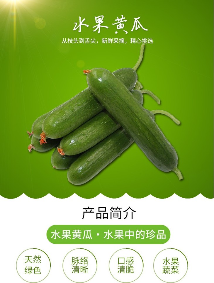 扫描二维码,访问我们的微信店铺 随时随地的购物,客服咨询,查询订单