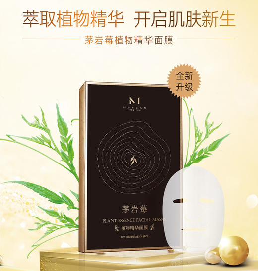 茅岩莓植物精华面膜 茅岩莓面膜 28g*6片 商品图0