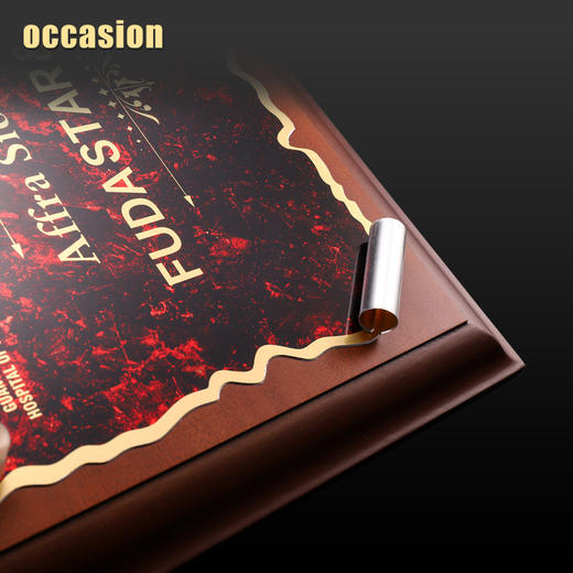 奖牌定制定做木质立体卷边金属授权牌荣誉证书经销商制作企业颁奖 商品图4