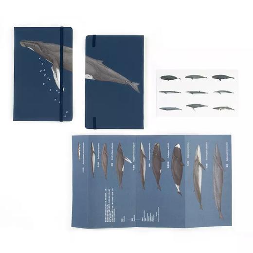 下架 鲸类主题笔记本 超科学空白纸记事本 商品图0