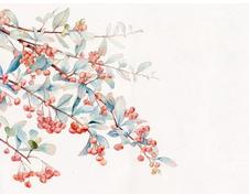 测试商品12 商品图0