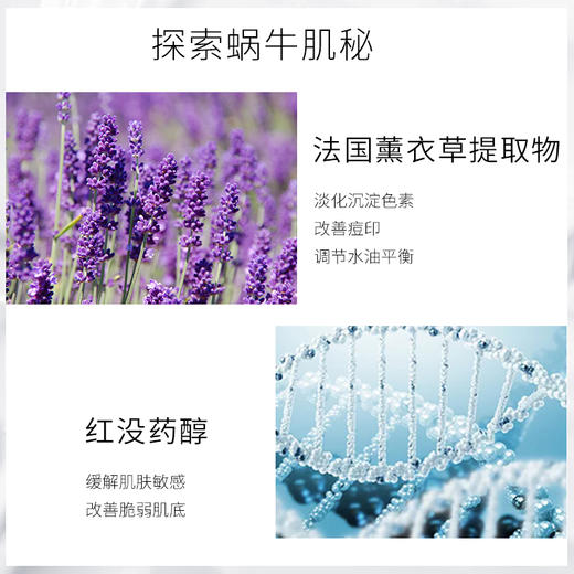 SNAILWHITE施妮薇青春蜗牛修护面霜50ml（300018） 商品图3