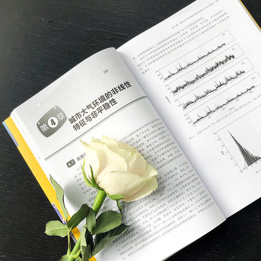 时间序列分形方法在大气环境中的应用 商品图5