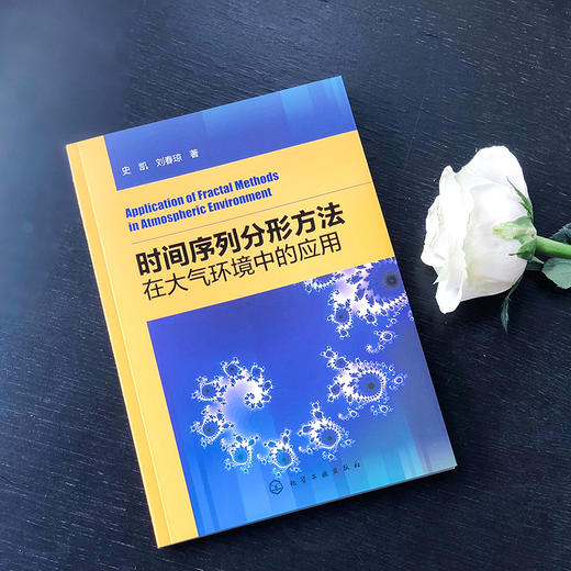 时间序列分形方法在大气环境中的应用 商品图1
