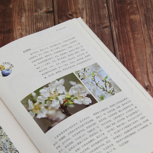 汪老师的植物笔记（六十余载，山川课堂，饱读自然奇异。 一百来种，植物笔记，尽显生命瑰丽。） 商品图2