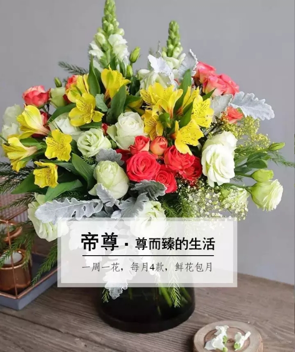 每周一花|帝尊-鲜花包月【4束/399元】.市区免费配送.