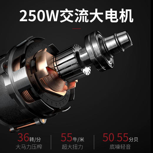 SKGA10商用原汁机大口径全自动渣汁分离果汁奶茶店鲜榨大功率无渣 商品图2