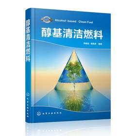 醇基清洁燃料
