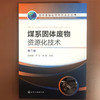 煤系固体废物资源化技术（第二版）--固体废物处理与资源化丛书 商品缩略图1