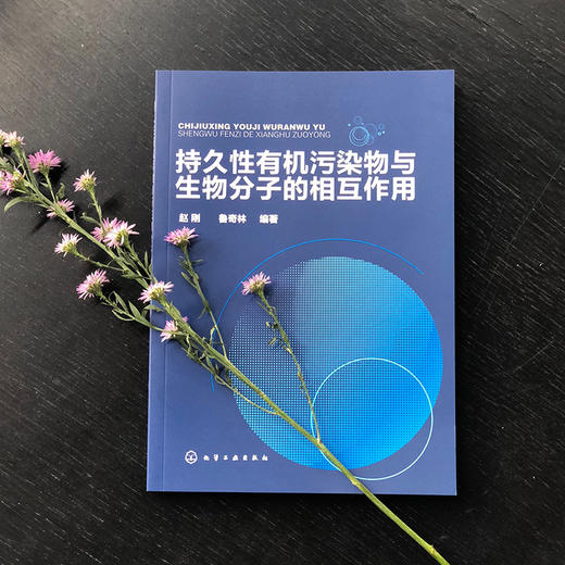 持久性有机污染物与生物分子的相互作用 商品图1