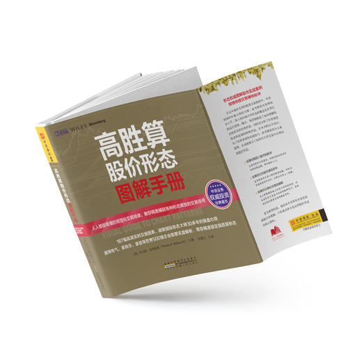高胜算股价形态图解手册：人人都能看懂的视觉化交易规律，教你精准捕捉各种形态释放的交易信号 商品图2