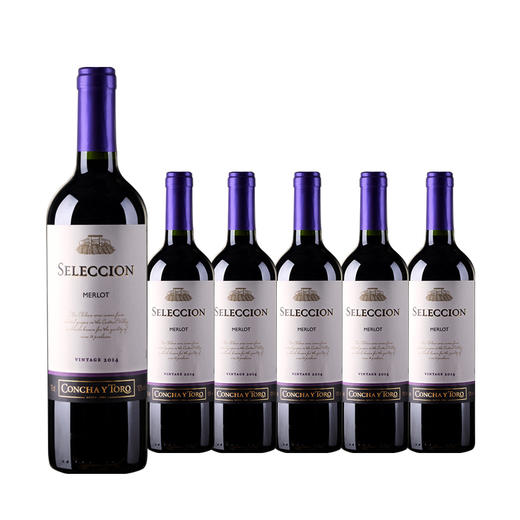 整箱特惠装 智利原瓶进口红酒 干露-智选系列梅洛红葡萄酒Concha Y Toro Seleccion Merlot 750ml*6 商品图0