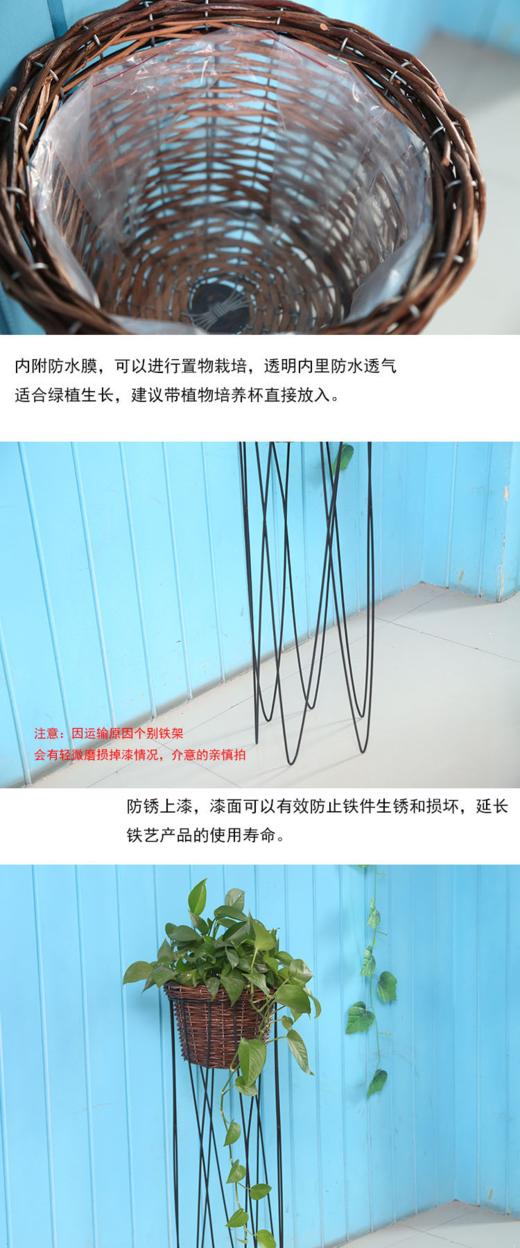 线条绿萝架 商品图6