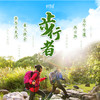 【妈网春游】 5/2-5/3 5/3-5/4  五一惊喜特价来袭《步行者》昌宁古道两日游之亲子徒步浙西大龙湾、参加篝火晚会、昌宁古道~ 商品缩略图0