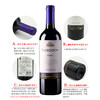 智利原瓶进口红酒 干露智选系列梅洛干红葡萄酒 Concha Y Toro Seleccion Merlot  单支装750ml 商品缩略图4