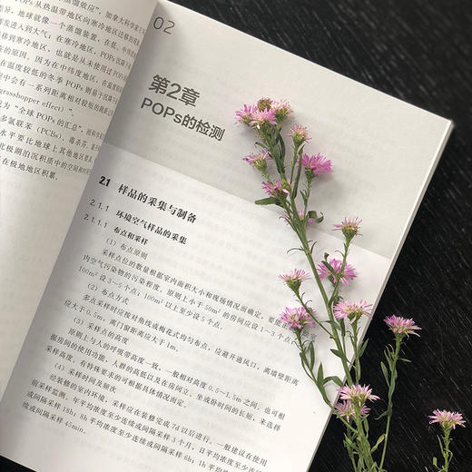 持久性有机污染物与生物分子的相互作用 商品图4