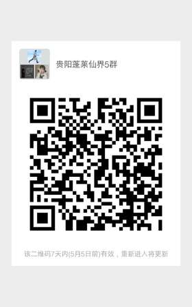 上世纪扭矩十点半