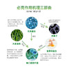 幽门螺旋杆菌管理健康套餐 商品缩略图5