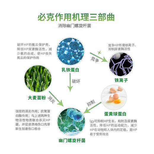 幽门螺旋杆菌管理健康套餐 商品图5
