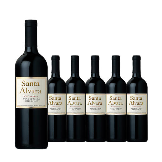 整箱特惠装 智利原瓶进口红酒 桑塔奥拉卡门乐干红葡萄酒 Santa Alvara Carménère 750ml*6 商品图0