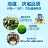 【小金牛奶啤】300ml*12听，非奶非啤，新疆乳酸菌饮品 商品缩略图4