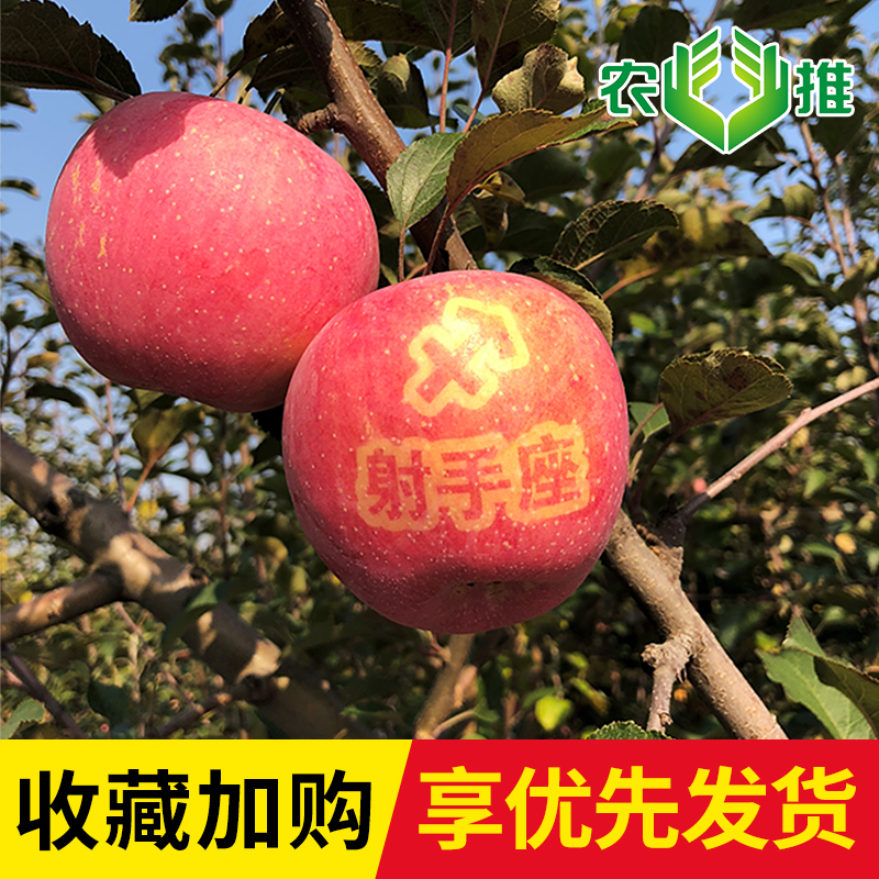 私人定制星座送祝福好吃红富士苹果