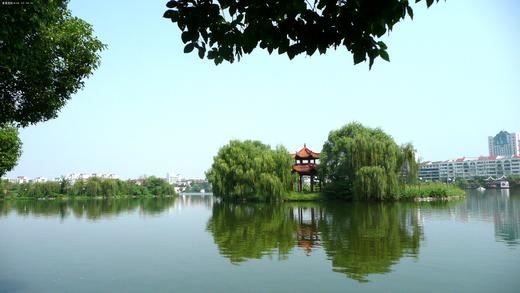 图大帅跨境含税商品 商品图0