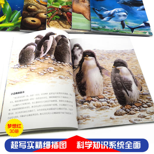 小牛顿科学馆（全新升级版）·亲水动物 商品图4