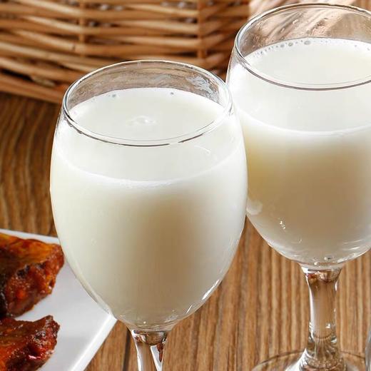 【小金牛奶啤】300ml*12听，非奶非啤，新疆乳酸菌饮品 商品图1
