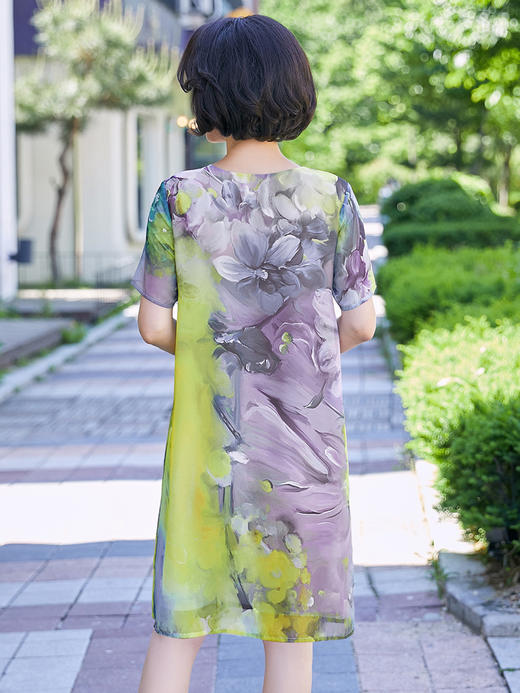 迪葵纳中年妈妈装2019夏装新款中老年女装雪纺短袖连衣裙WD7376轩 商品图1