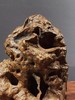 太湖石型天然树瘤摆件 顺丰包邮 商品缩略图5