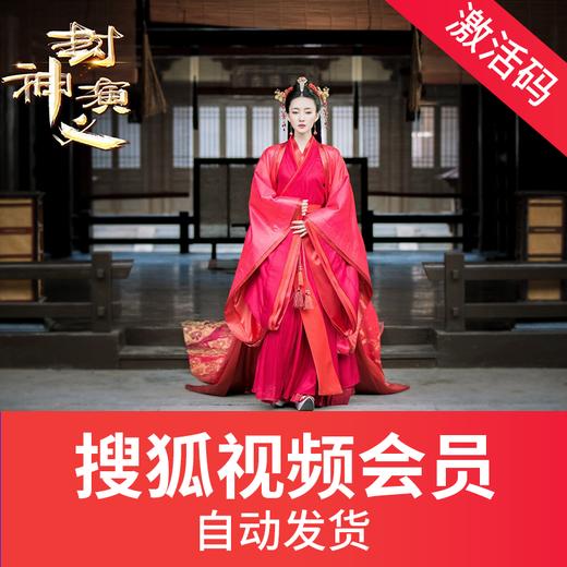 搜狐视频黄金会员 商品图0